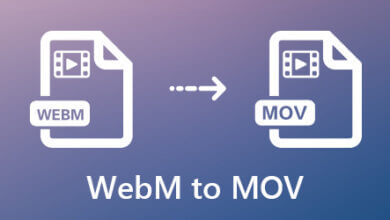 將WebM轉檔為MOV的最佳辧法